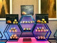 gallery-images
