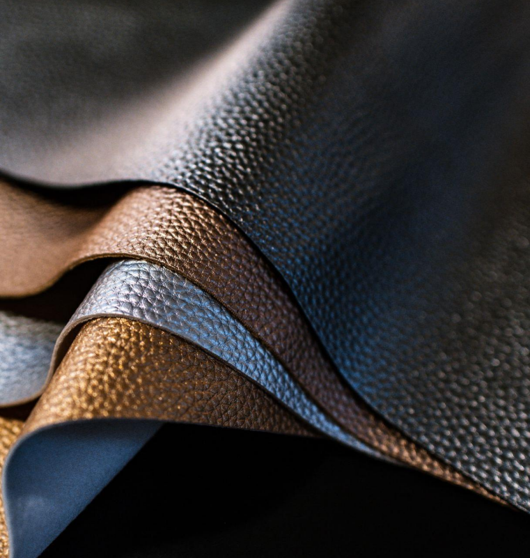 Leather and Footwear Sector Investment Pitchbook （English Version）